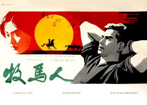 护士学历证书编号是啥